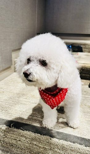 Cooper Head Shot
